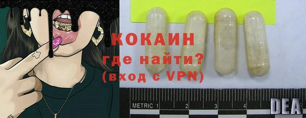 молекула духа Алексин