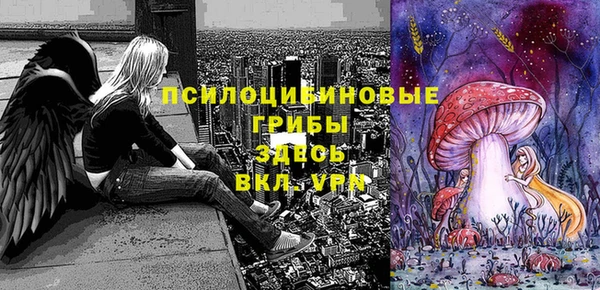 молекула духа Алексин