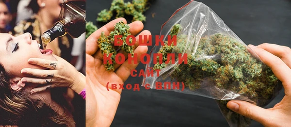PSILOCYBIN Алзамай