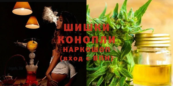 PSILOCYBIN Алзамай